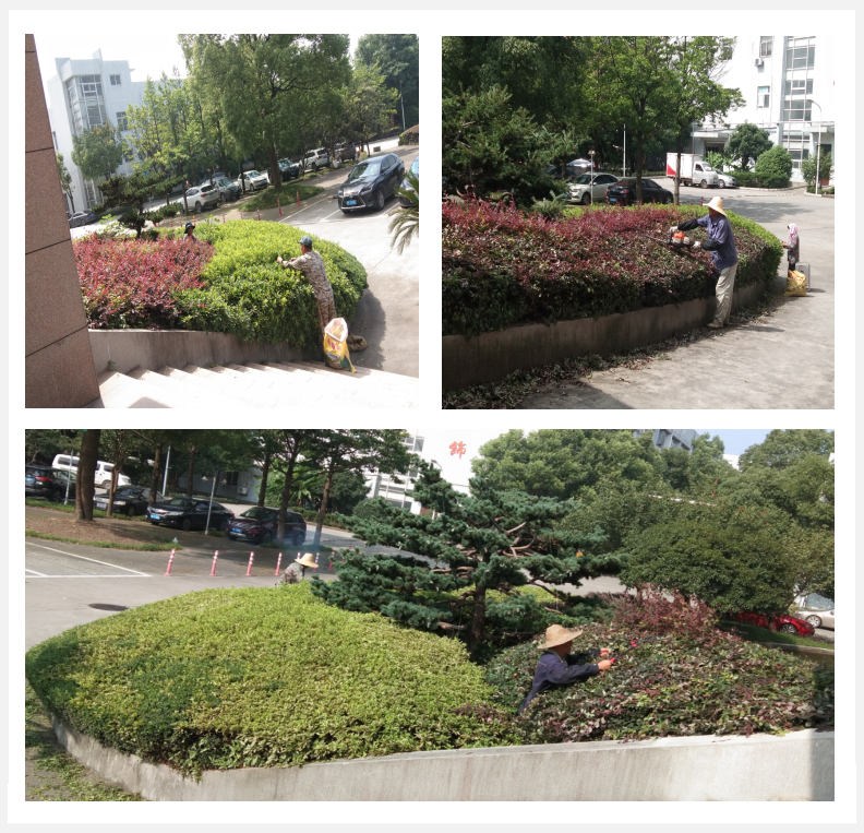 美化綠化，我們在行動      