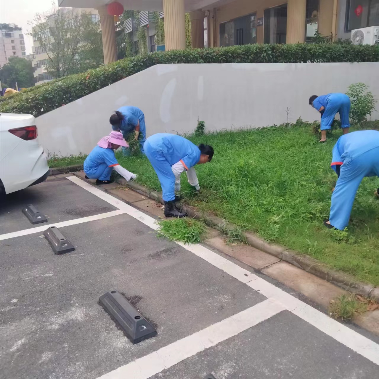 “園區勤打理，綠化正當時”——廬陽建華文創園積極開展環境美化工作