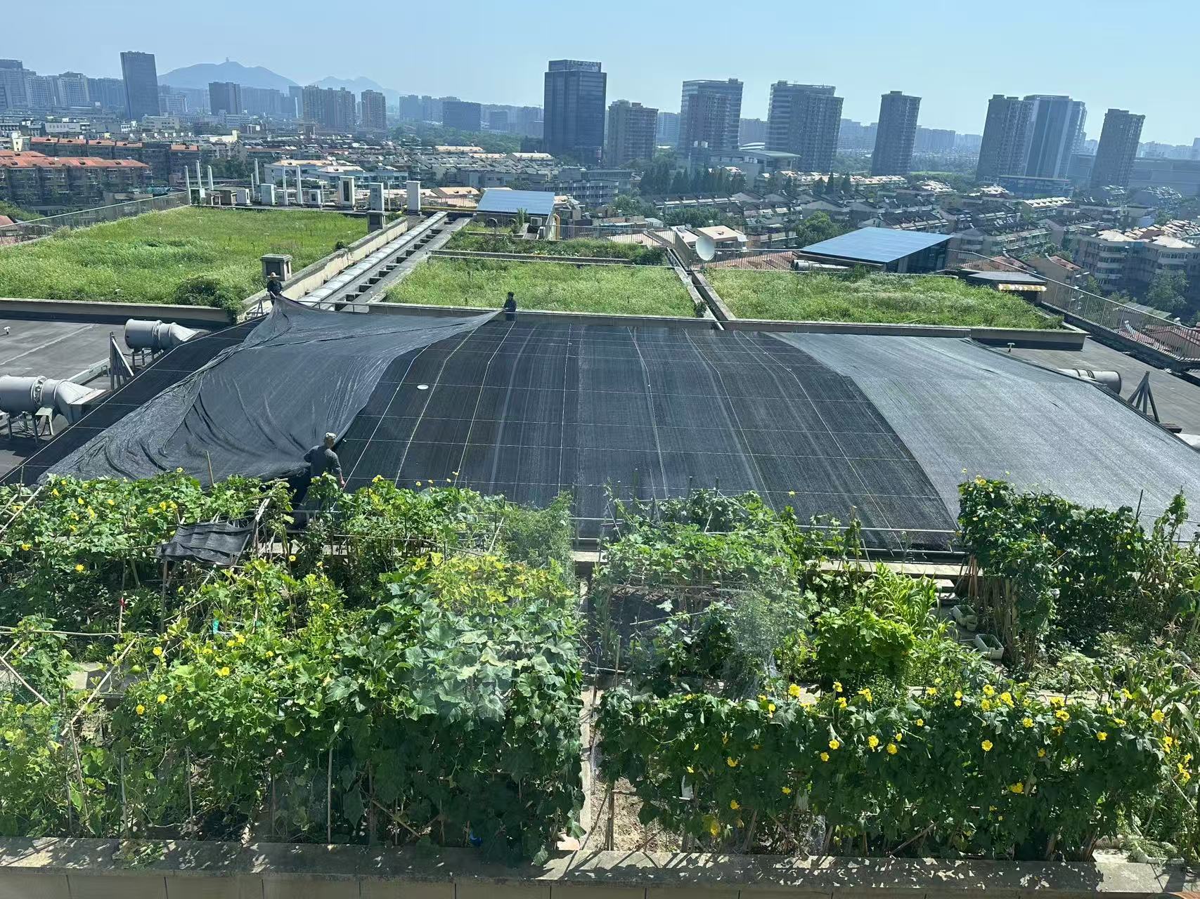 水晶城巧施”遮陽術“，為節能降耗注入清涼動力